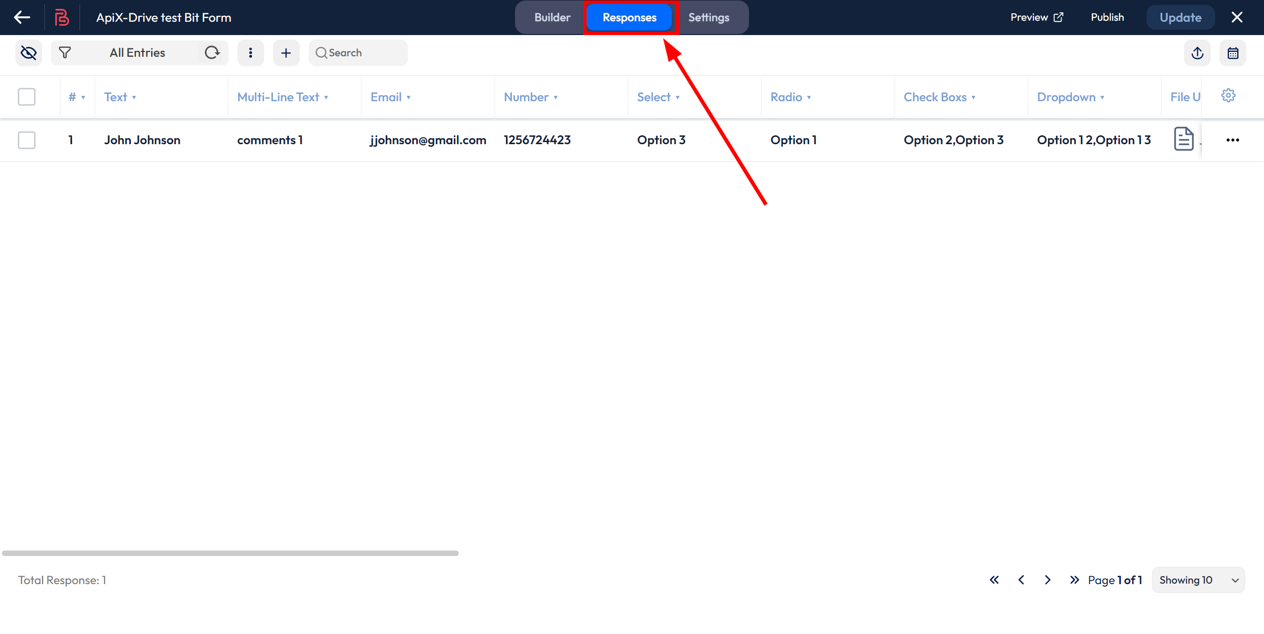 How to Connect Bit Form as Data Source | Generating test data from a form