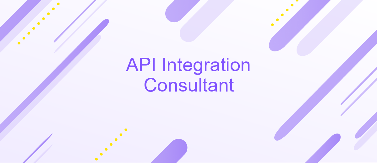 API Integration Consultant