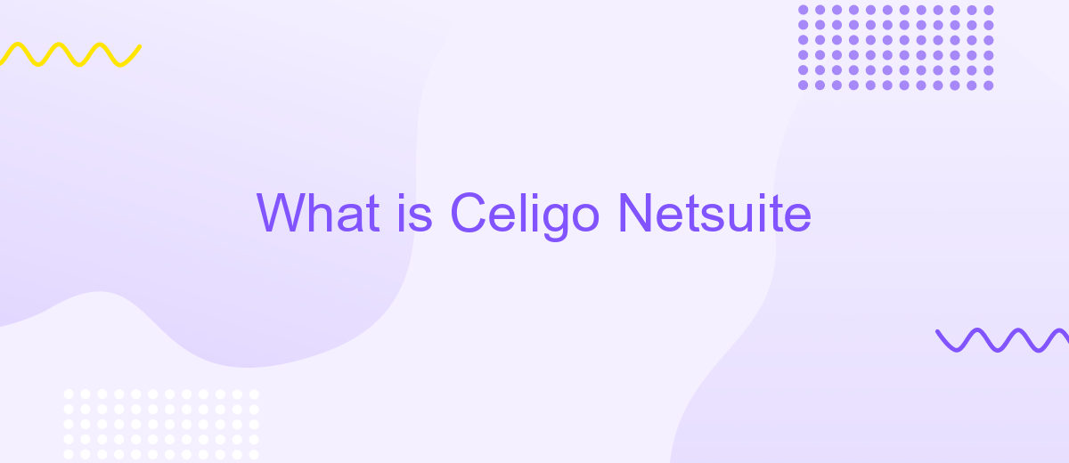 What is Celigo Netsuite