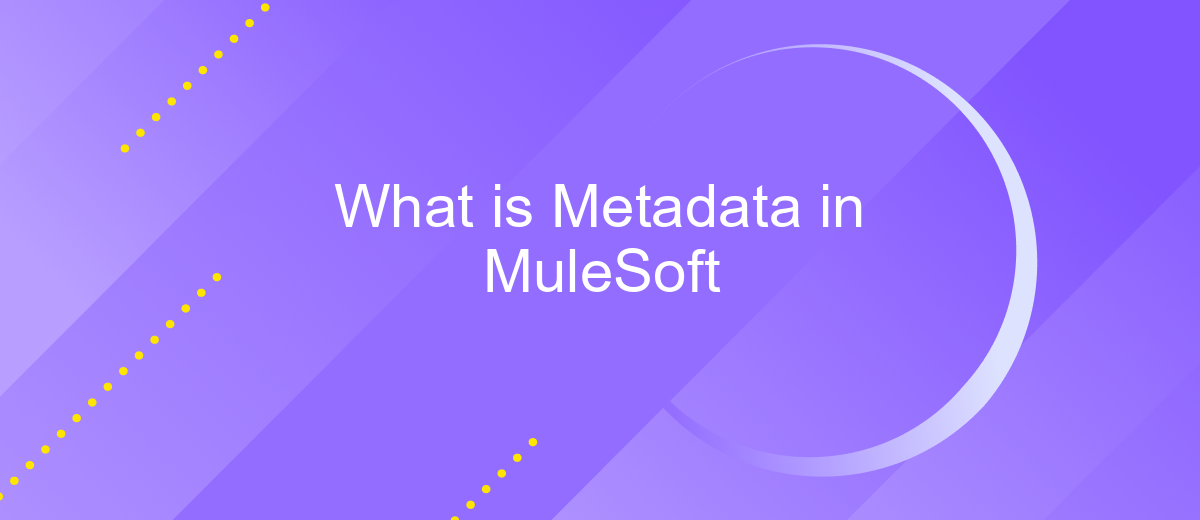 What is Metadata in MuleSoft