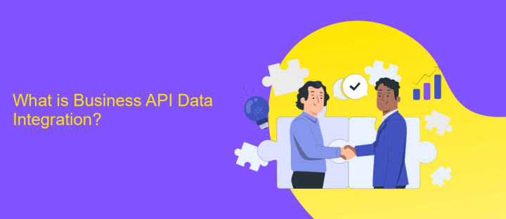 What is Business API Data Integration?