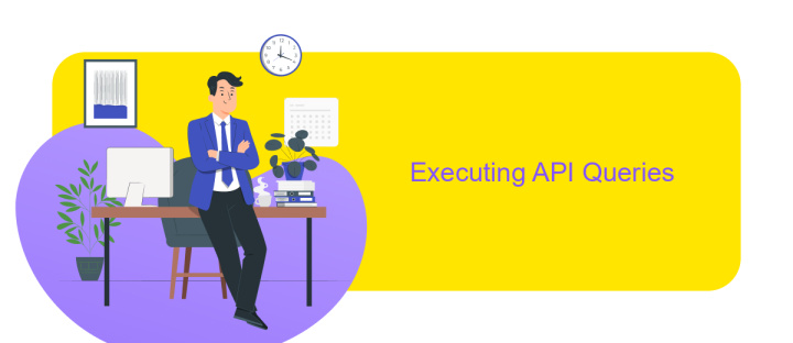 Executing API Queries