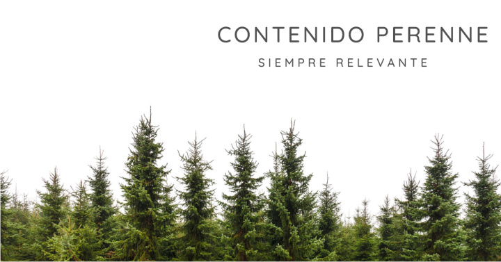 El contenido hojas perennes | Siempre Relevante<br>