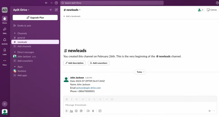 Integración de Tally y Slack | Resultado de la transferencia de datos a Slack