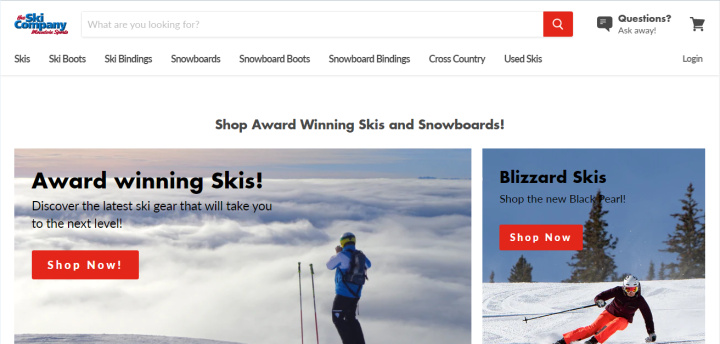 The Ski Company