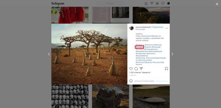 Хештеги у Instagram, Facebook та інших соцмережах | Користувач Instagram simonnorfolkstudio публікує UGC-мітку National Geographic, щоб його фото розмістили в обліковому записі журналу
