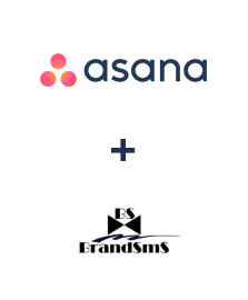 Einbindung von Asana und BrandSMS 