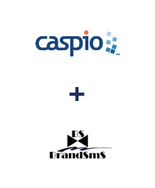 Einbindung von Caspio Cloud Database und BrandSMS 