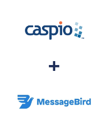 Einbindung von Caspio Cloud Database und MessageBird