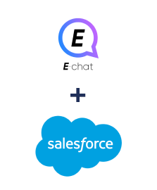 Einbindung von E-chat und Salesforce CRM