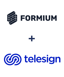 Einbindung von Formium und Telesign