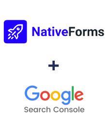 Einbindung von NativeForms und Google Search Console