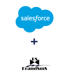 Einbindung von Salesforce CRM und BrandSMS 