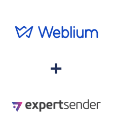 Einbindung von Weblium und ExpertSender
