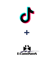 Integration of TikTok and BrandSMS 