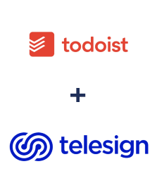 Integration of Todoist and Telesign