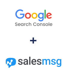 Integración de Google Search Console y Salesmsg