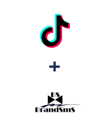 Integración de TikTok y BrandSMS 