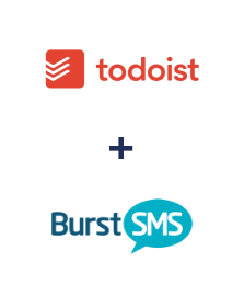 Integración de Todoist y Burst SMS