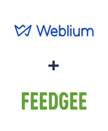 Integración de Weblium y Feedgee