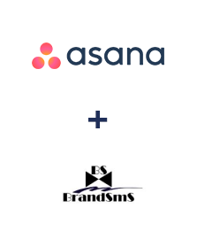 Integracja Asana i BrandSMS 