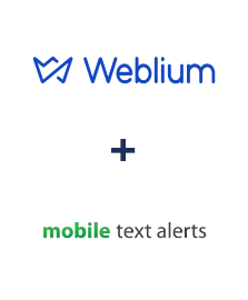 Integração de Weblium e Mobile Text Alerts