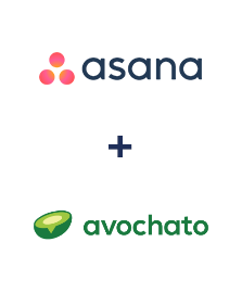 Интеграция Asana и Avochato