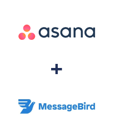 Интеграция Asana и MessageBird