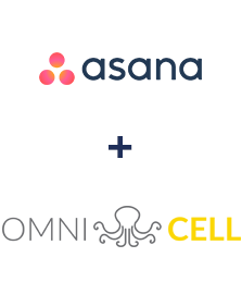 Интеграция Asana и Omnicell