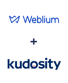 Интеграция Weblium и Kudosity