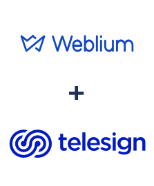 Интеграция Weblium и Telesign