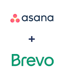 Asana ve Brevo entegrasyonu