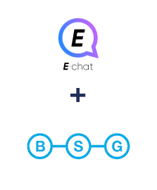 E-chat ve BSG world entegrasyonu