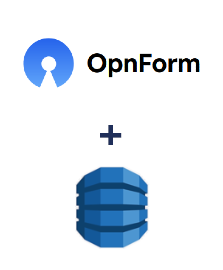 OpnForm ve Amazon DynamoDB entegrasyonu