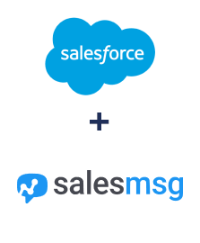 Salesforce CRM ve Salesmsg entegrasyonu