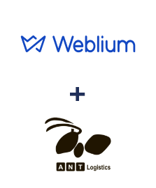 Weblium ve ANT-Logistics entegrasyonu