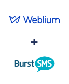 Weblium ve Burst SMS entegrasyonu