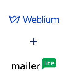 Weblium ve MailerLite entegrasyonu