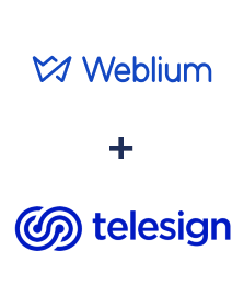 Weblium ve Telesign entegrasyonu