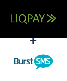 Інтеграція LiqPay та Burst SMS